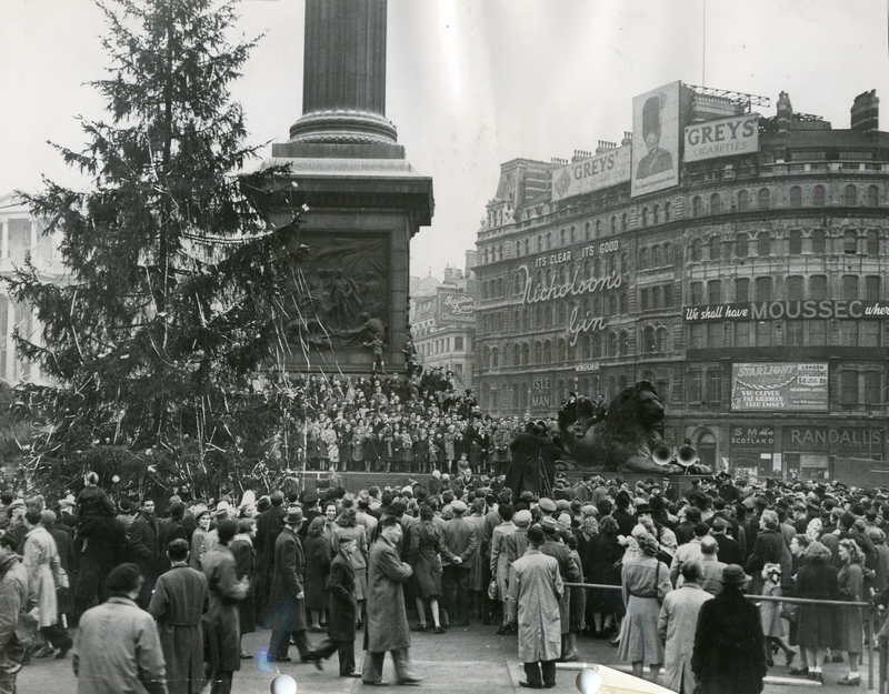 Illustration for article titled Trafalgar Square Christmas tree.